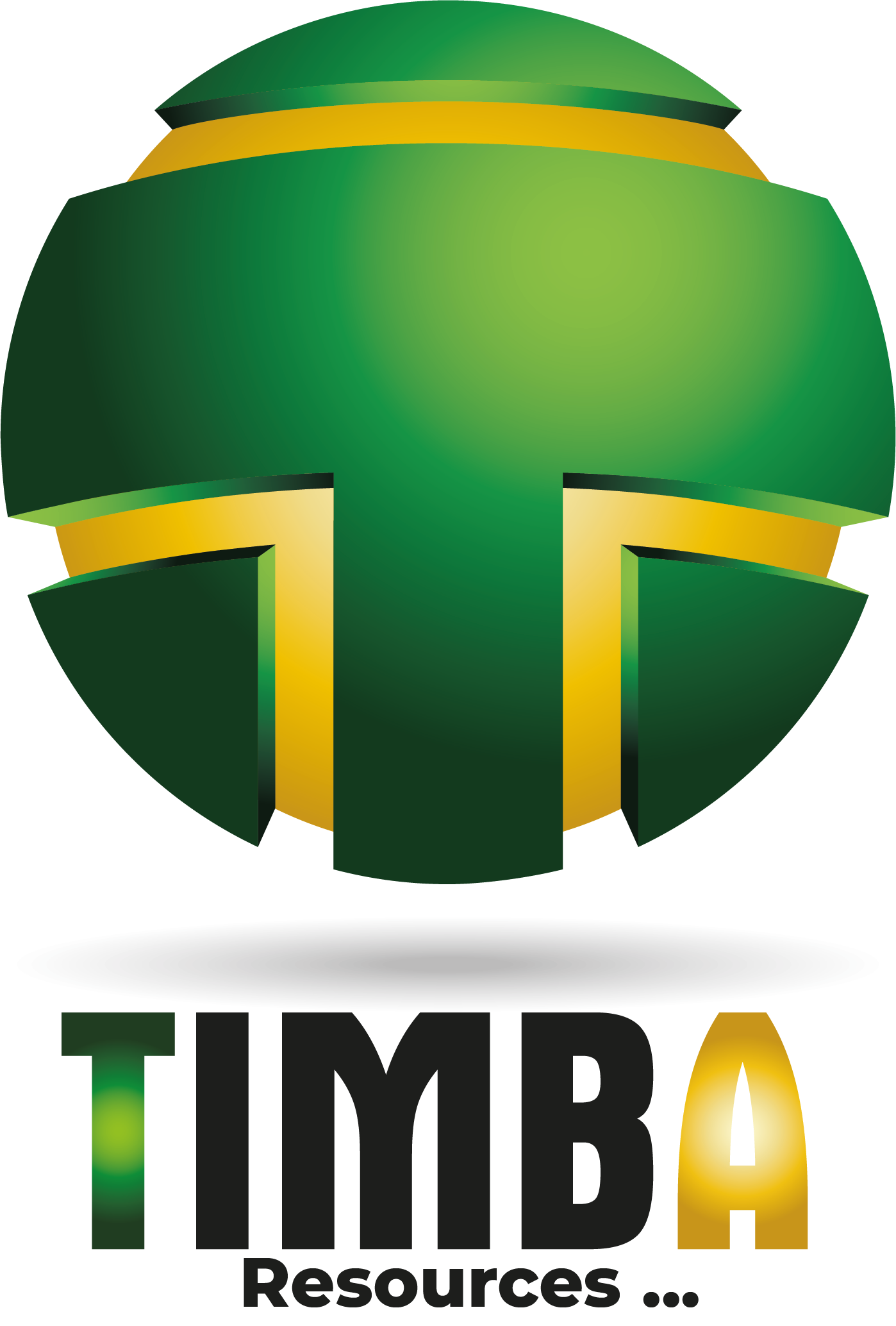 TIMBA Resources
